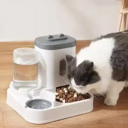 Mangiatoia per gatti e distributore d'acqua